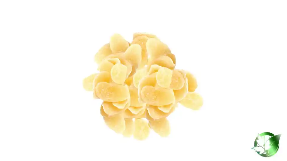 Bulk Dried Mango | Suppliers | Wholesale | ParsaFood Global